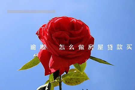 逾期 怎么做房屋贷款买房 逾期 怎么做房屋贷款买房